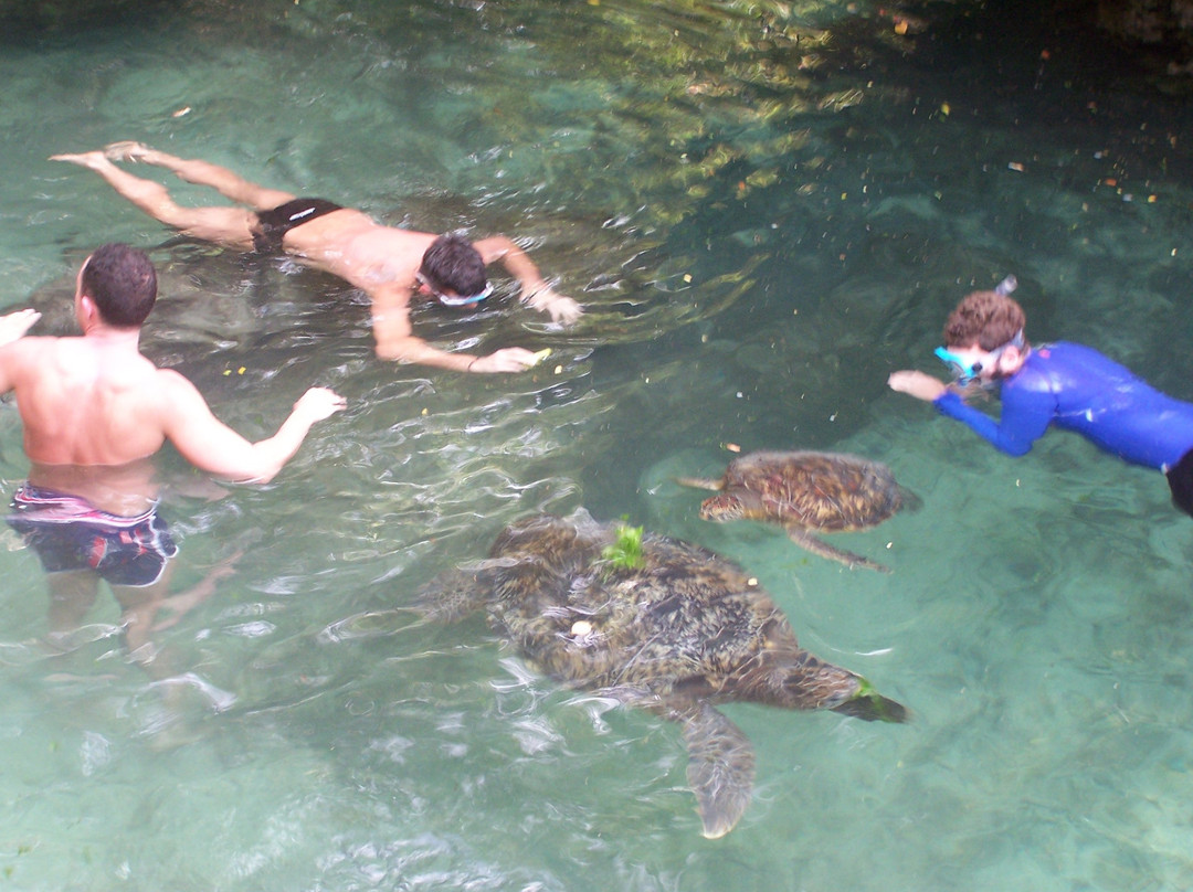 Baraka Natural Aquarium - Nungwi景点图片