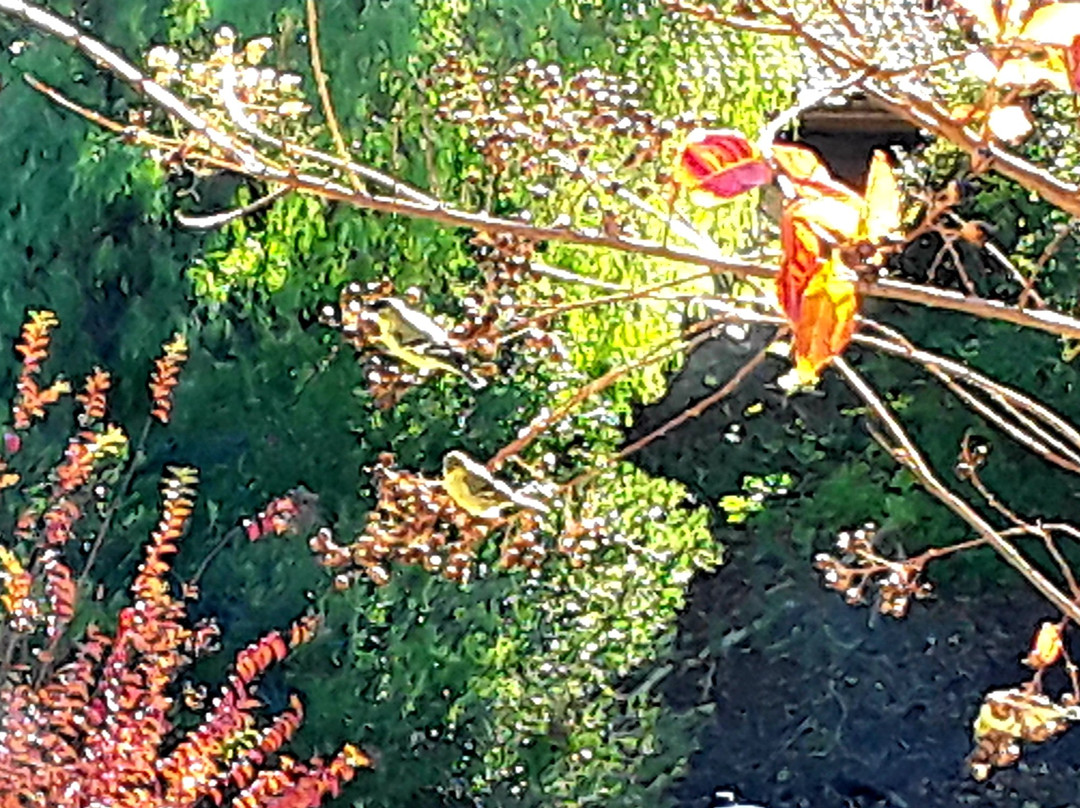 圣地牙哥乡村庄园酒店主图