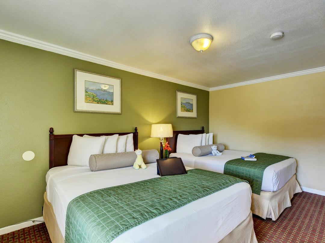 旅行者酒店主图