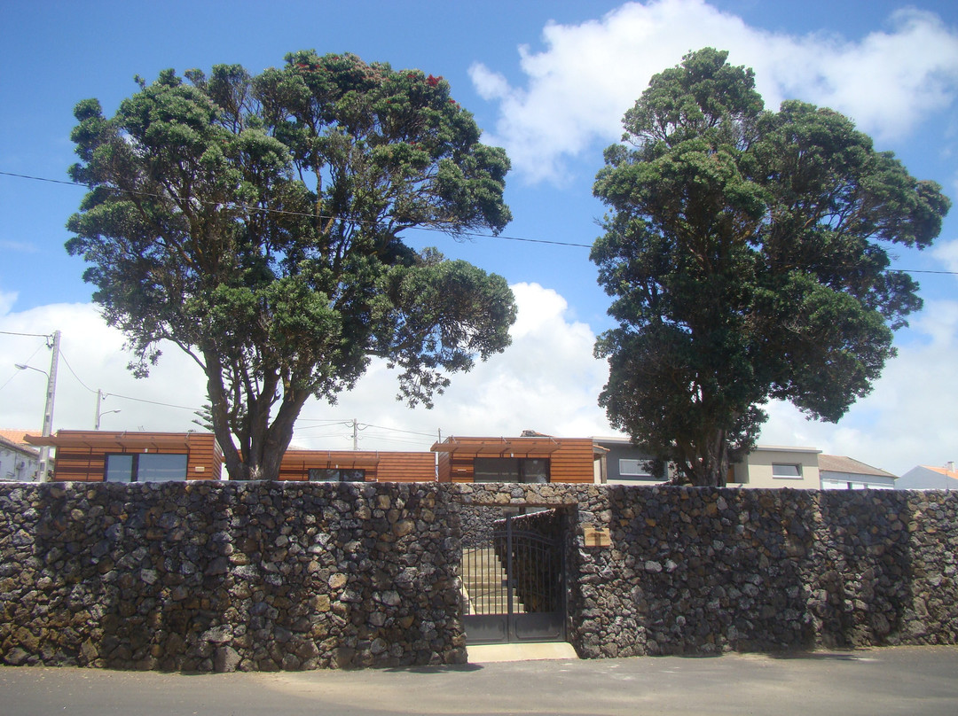 Cruz do Canario Viewpoint-Porto Judeu必去景点
