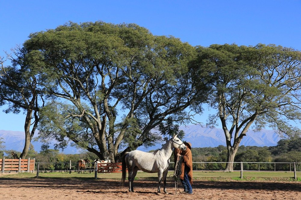 Estancia Zarate主图