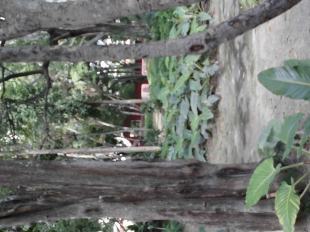 Hacienda La Vega景点图片