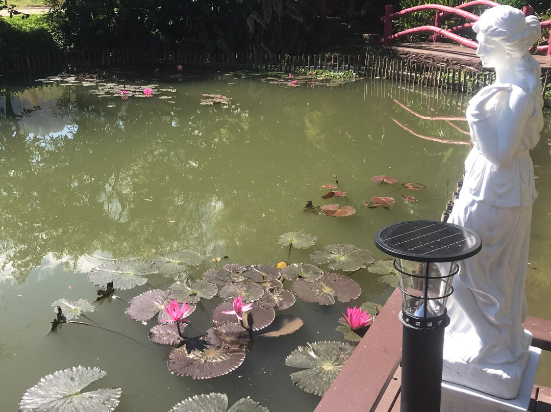 Swankiri Exclusive Farm Resort主图