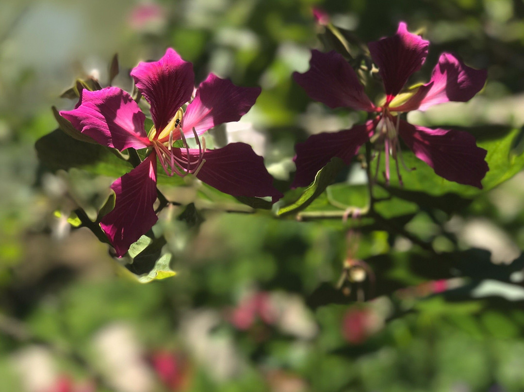 Swankiri Exclusive Farm Resort主图