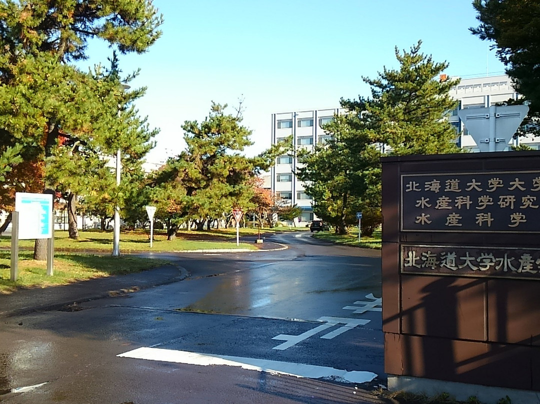 北海道大学图书馆景点图片