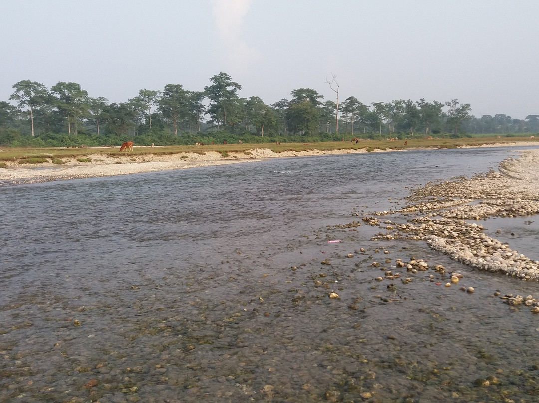 Elephanta Forest Resort