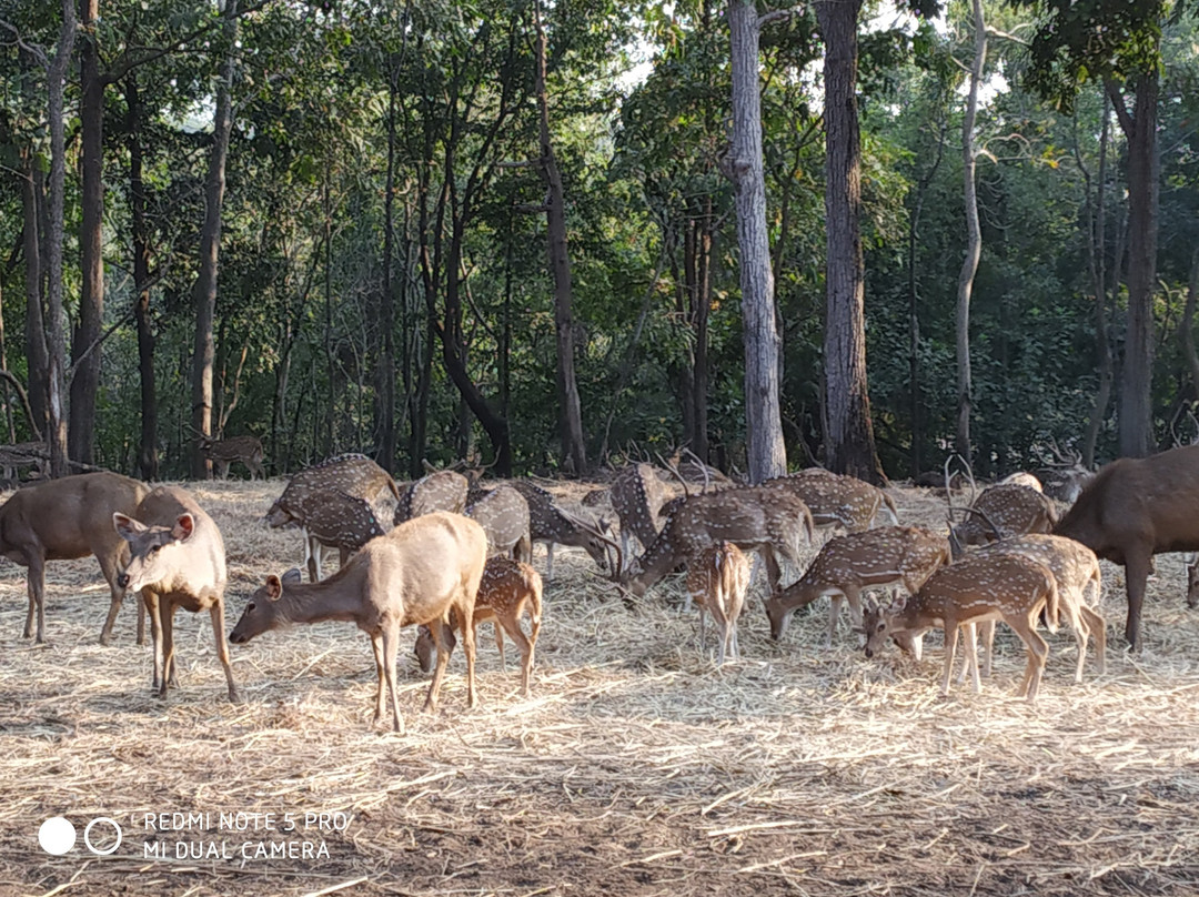 Deer Park景点图片