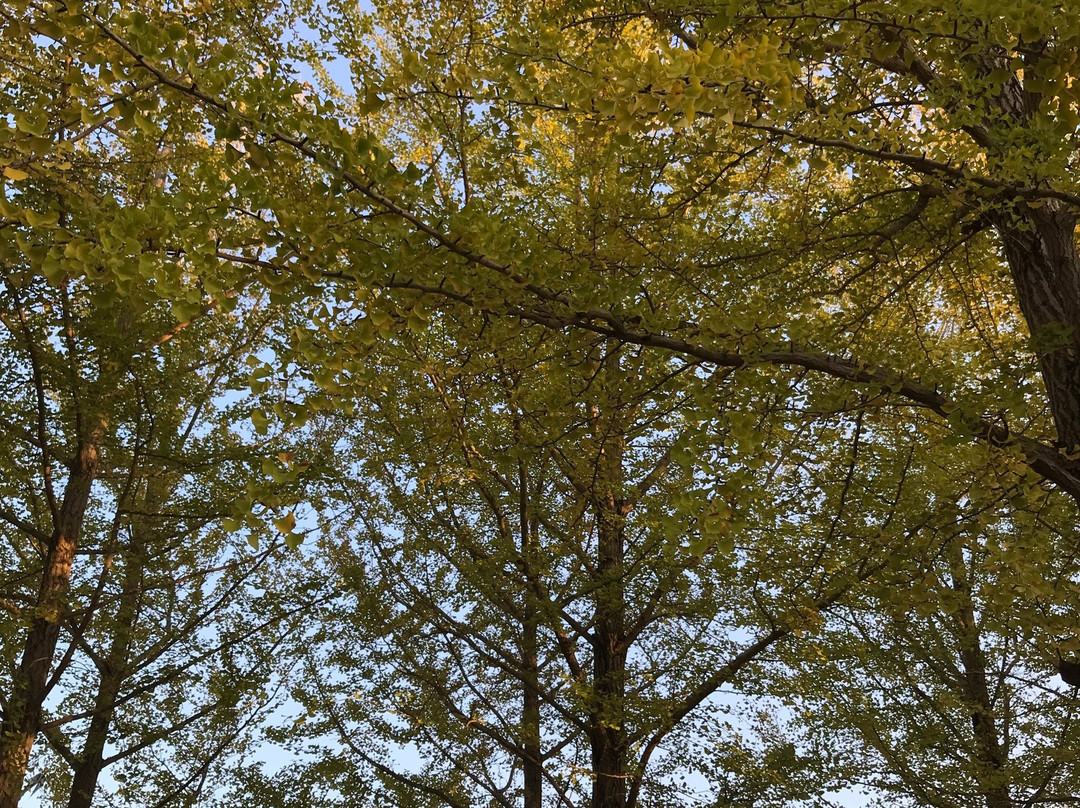 Tsukuba EXPO '85 Memorial Park-筑波市必去景点