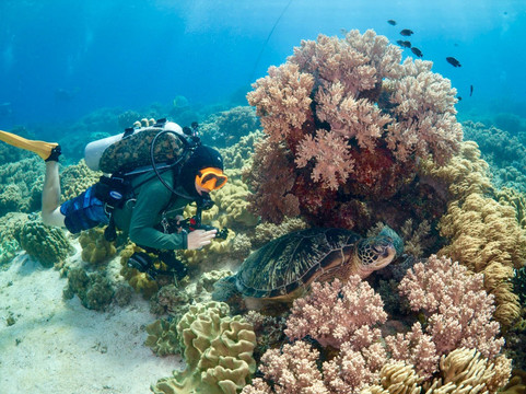 DiveGuys Cebu-马丹岛必去景点