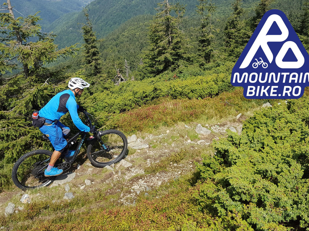 RO Mountainbike景点图片