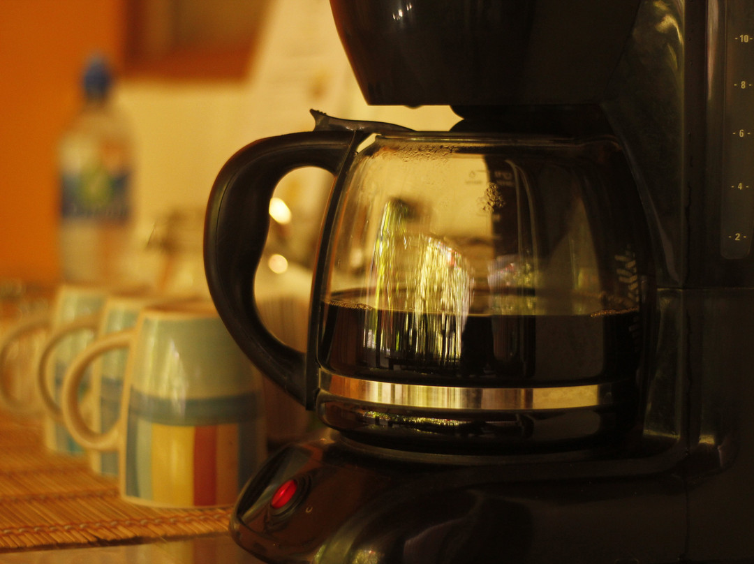 Vida Tropical B and B主图