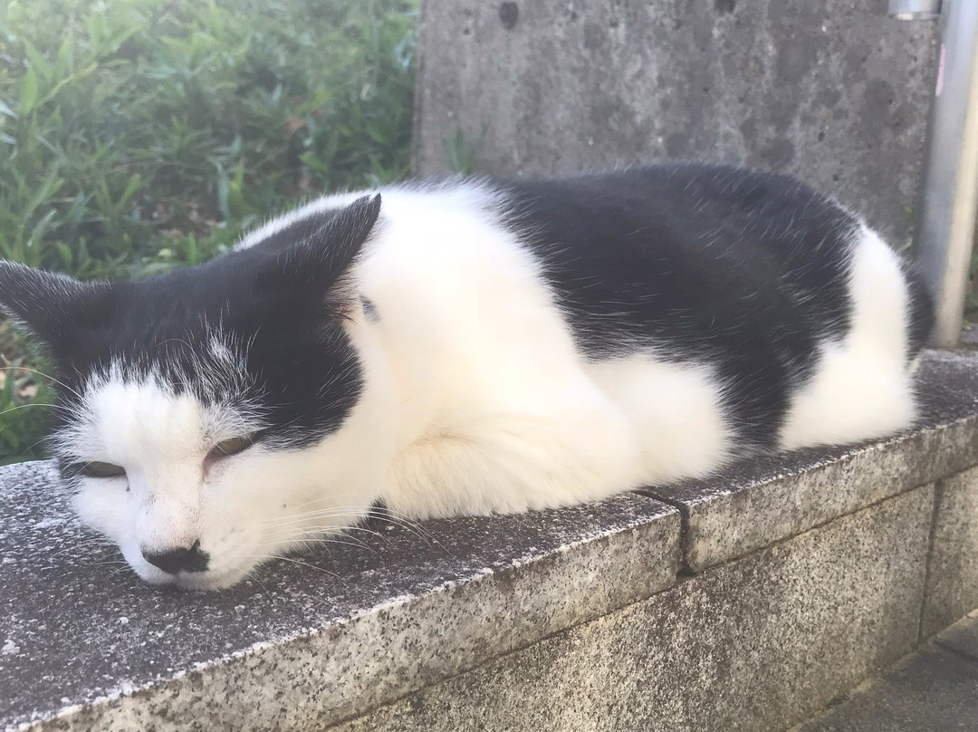 Oji Shrine-德岛市必去景点