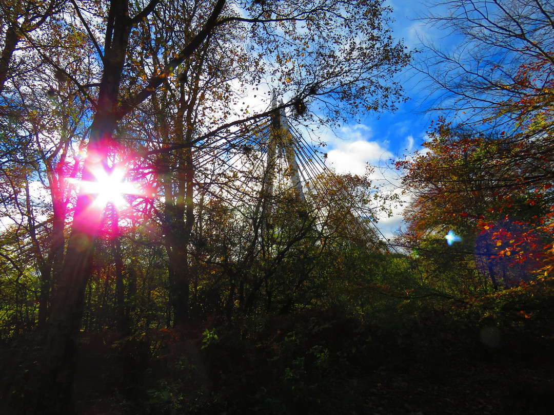 The River Leven Suspension Bridge景点图片