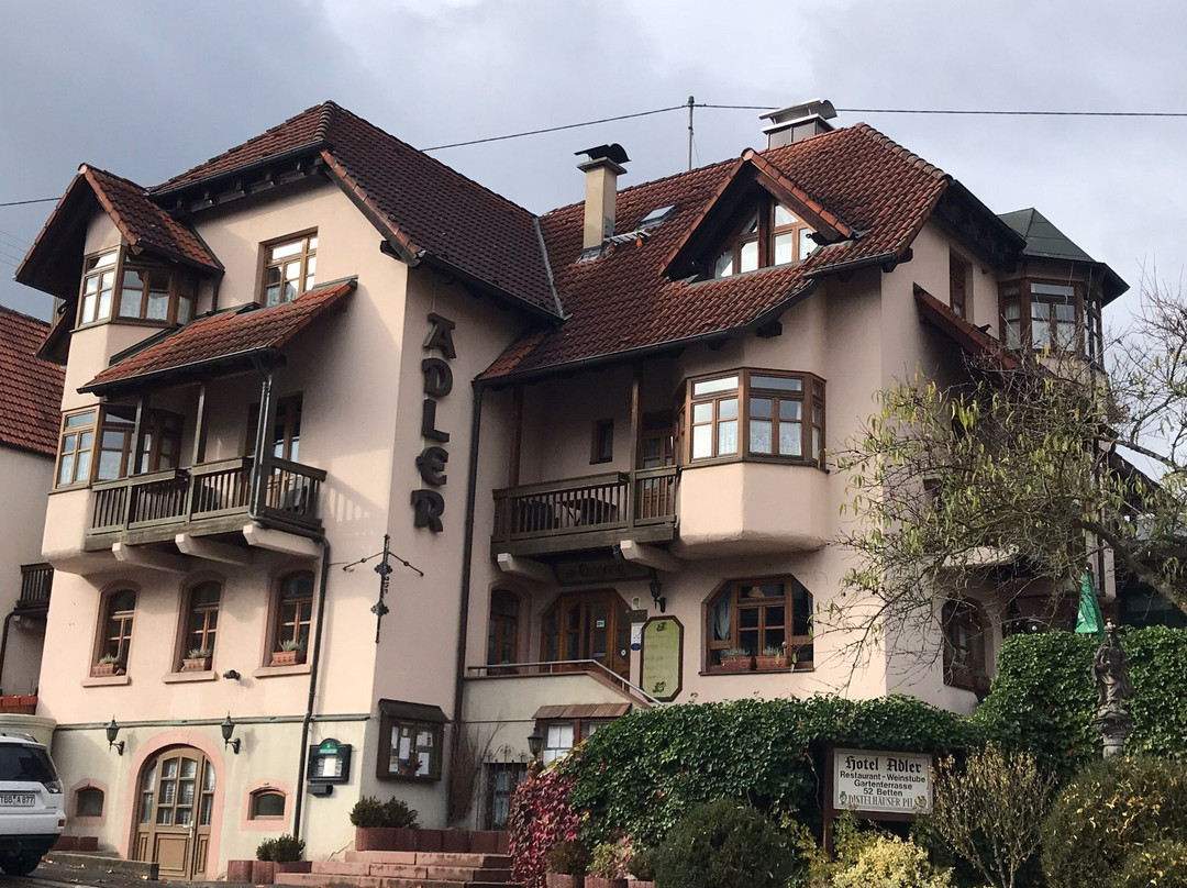 Lauda-Koenigshofen酒店住宿-Hotel Adler