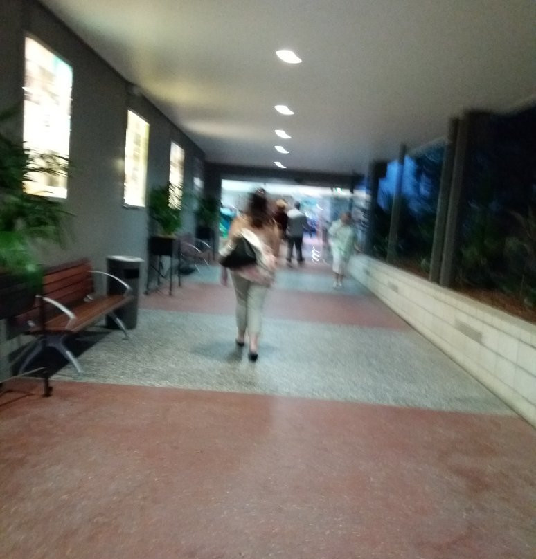 Southport Sharks-绍斯波特必去景点