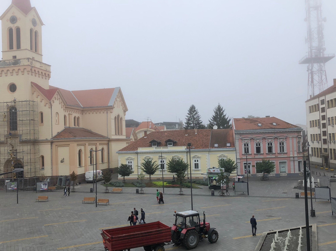 Zrenjanin Catholic Cathedral景点图片