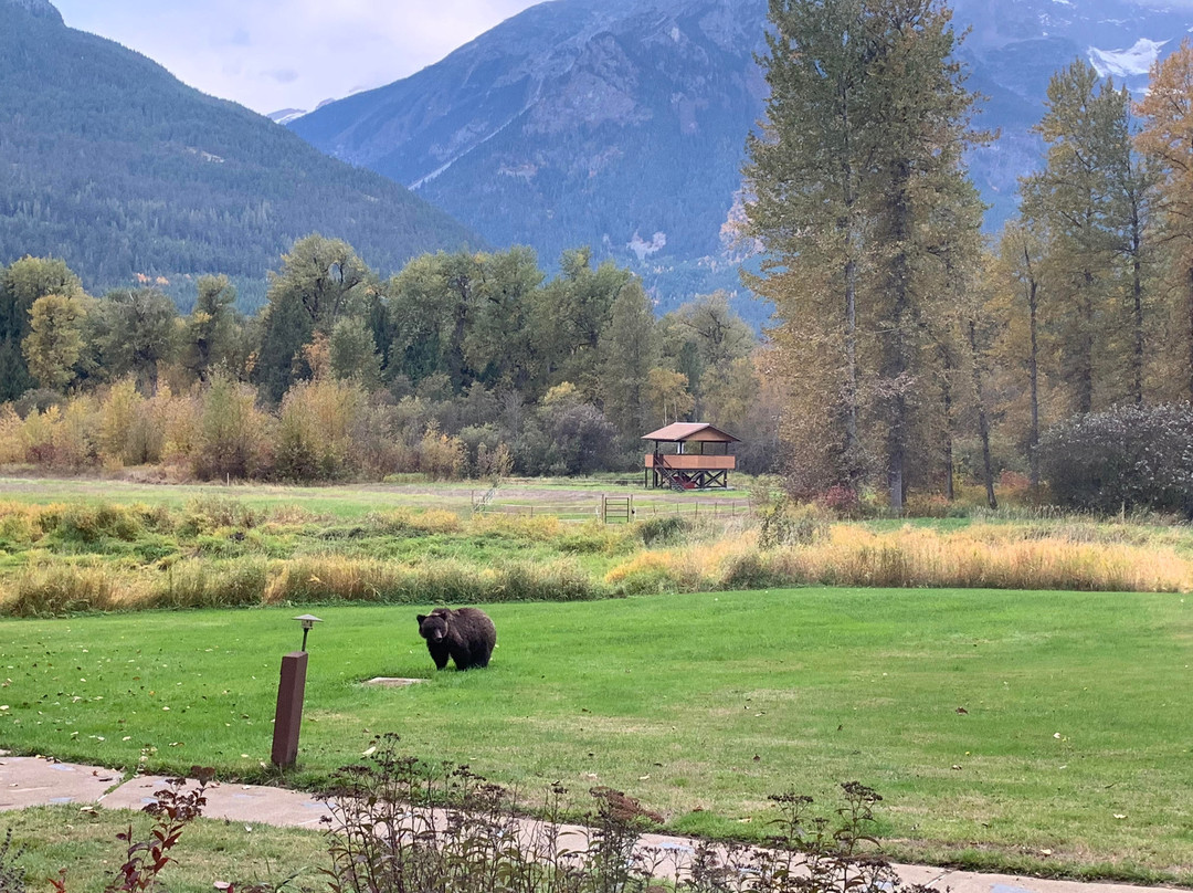 Tweedsmuir Park Lodge主图
