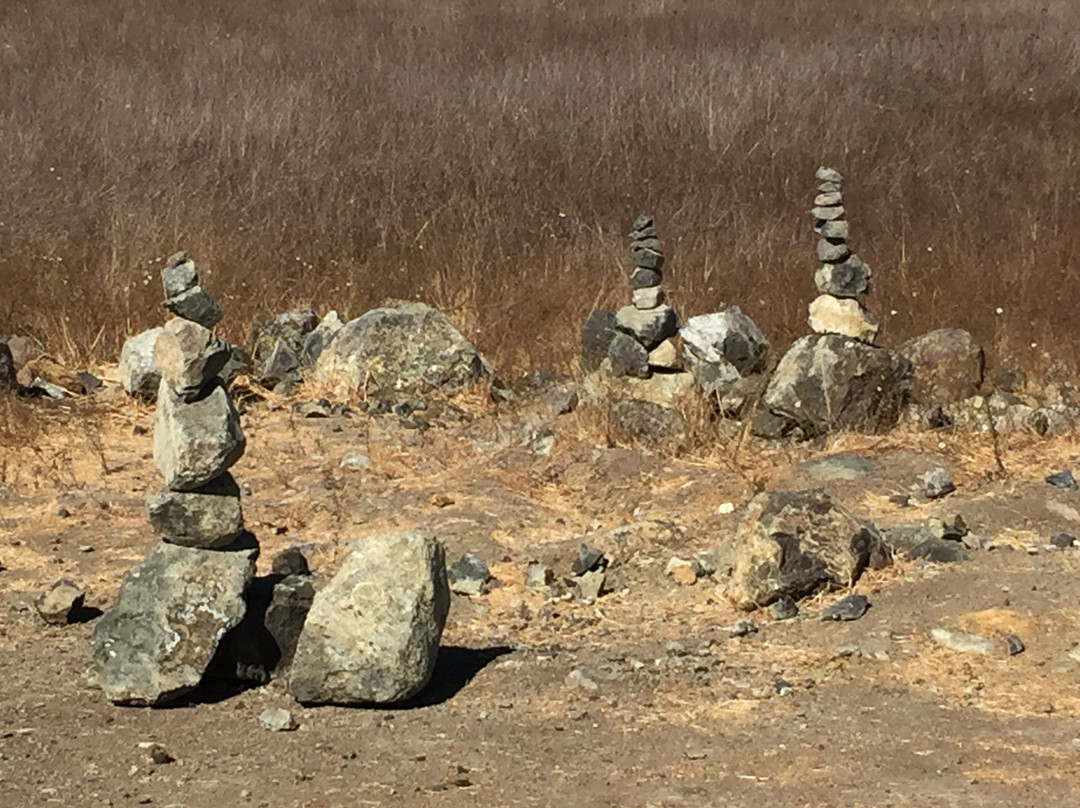 Edgewood Park Natural Preserve-雷德伍德城必去景点