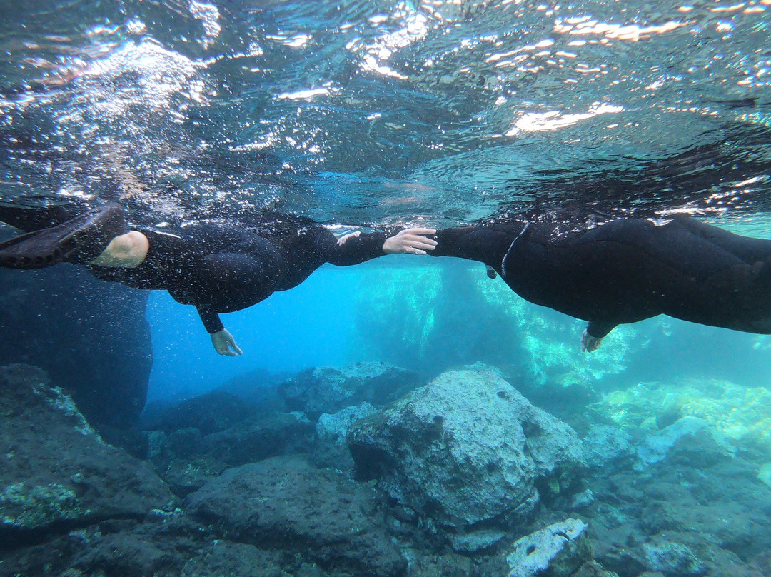 Go Scuba Diving-Agia Marina必去景点