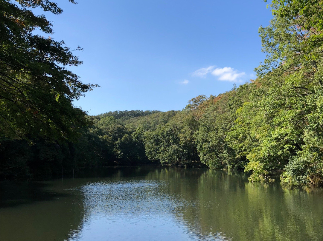 Lake Shinsei-秦野市必去景点