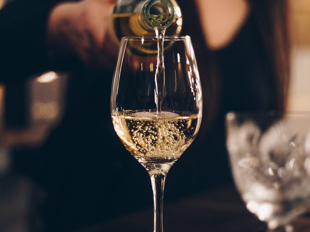 1853 The Wine Experience-布宜诺斯艾利斯必去景点