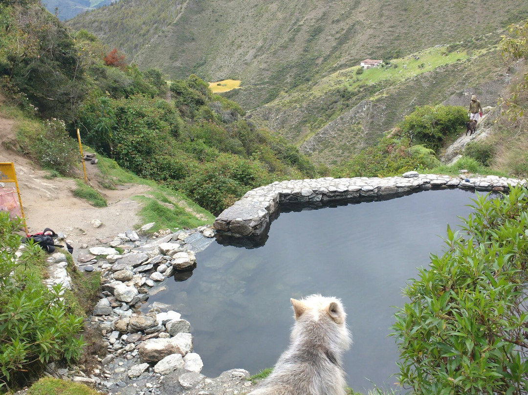 La Musui Aguas Termales景点图片