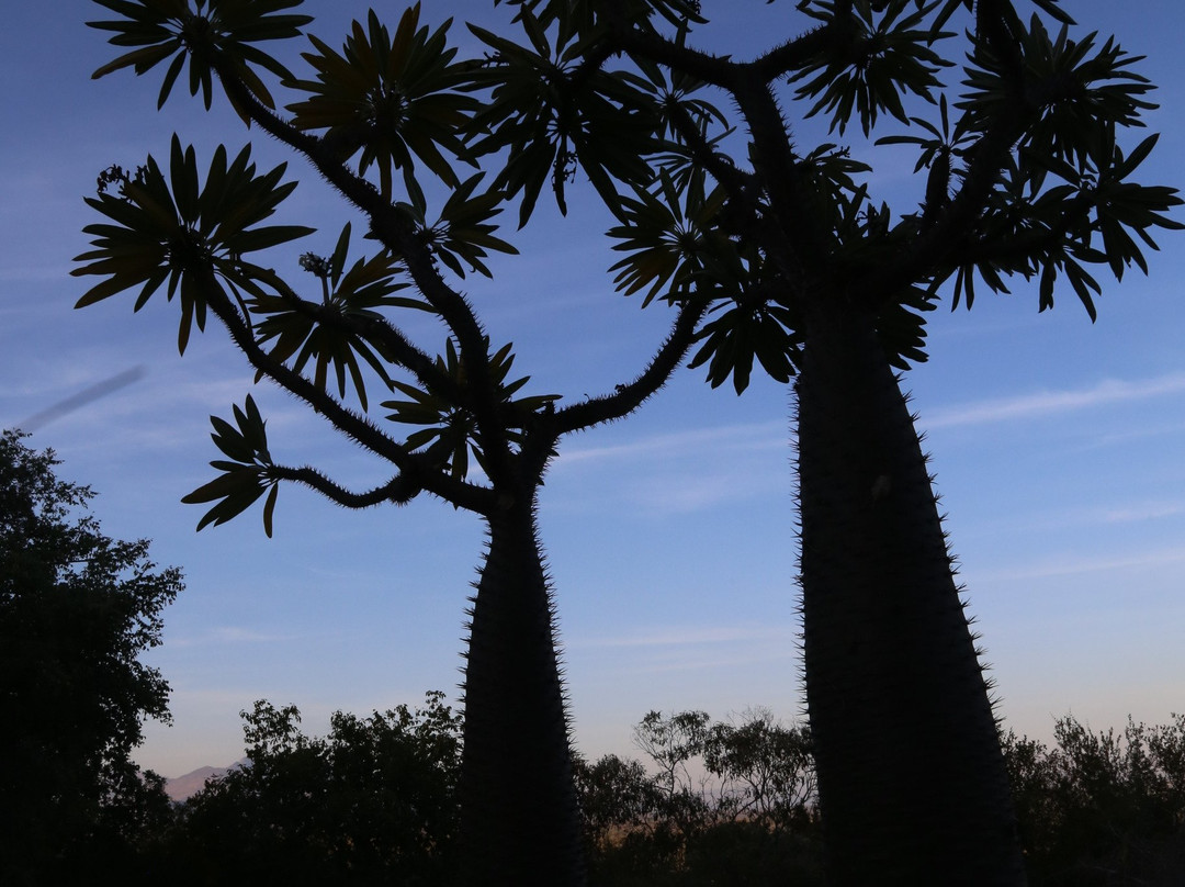 Marula Cottage Guest Lodge主图