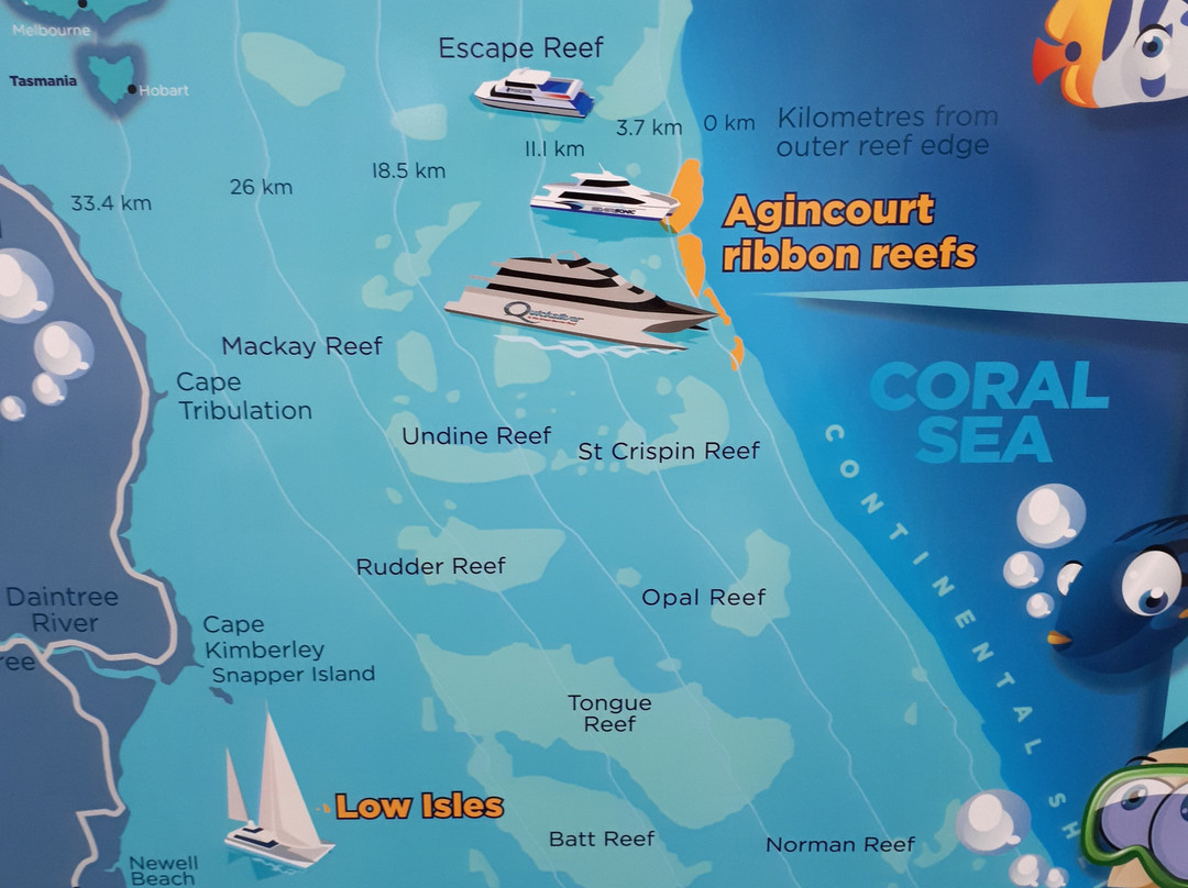 Opal Reef-道格拉斯港必去景点