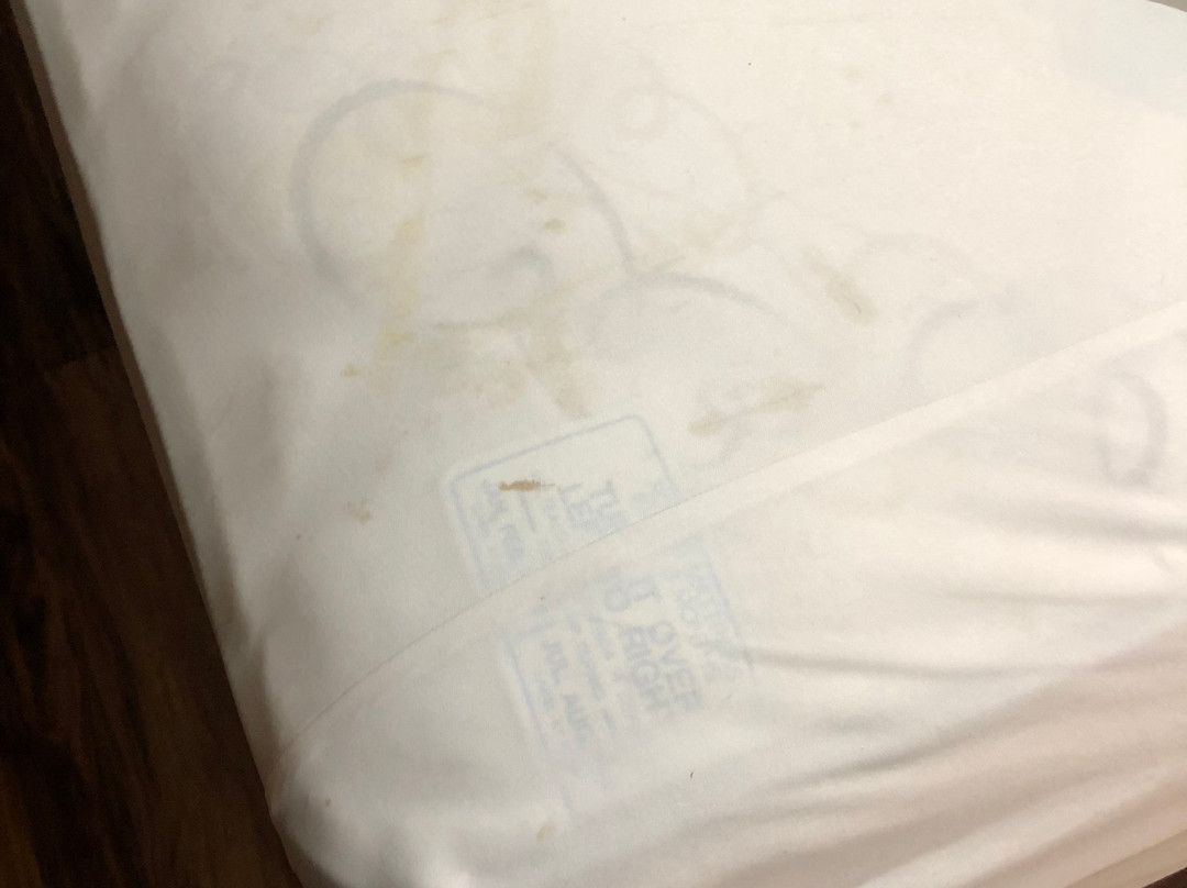 阿纳海姆小屋主图