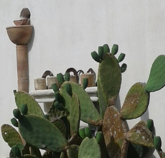 Masseria Delle Rose 1760主图