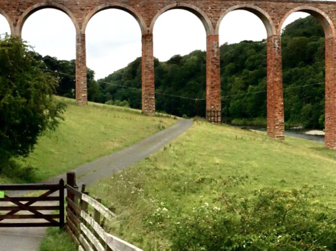 The Leaderfoot Viaduct, also known as the Drygrange Viaduct景点图片