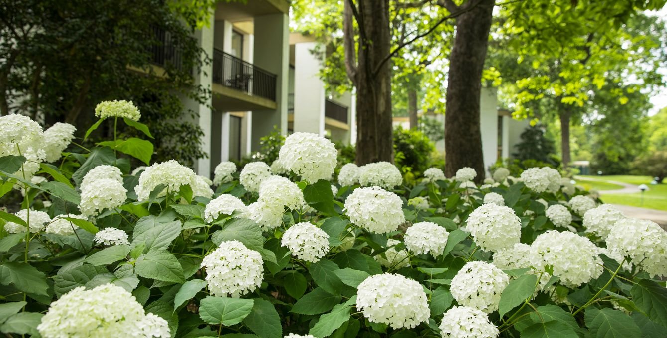 Griffin Hotel, An Official Colonial Williamsburg Hotel-官方