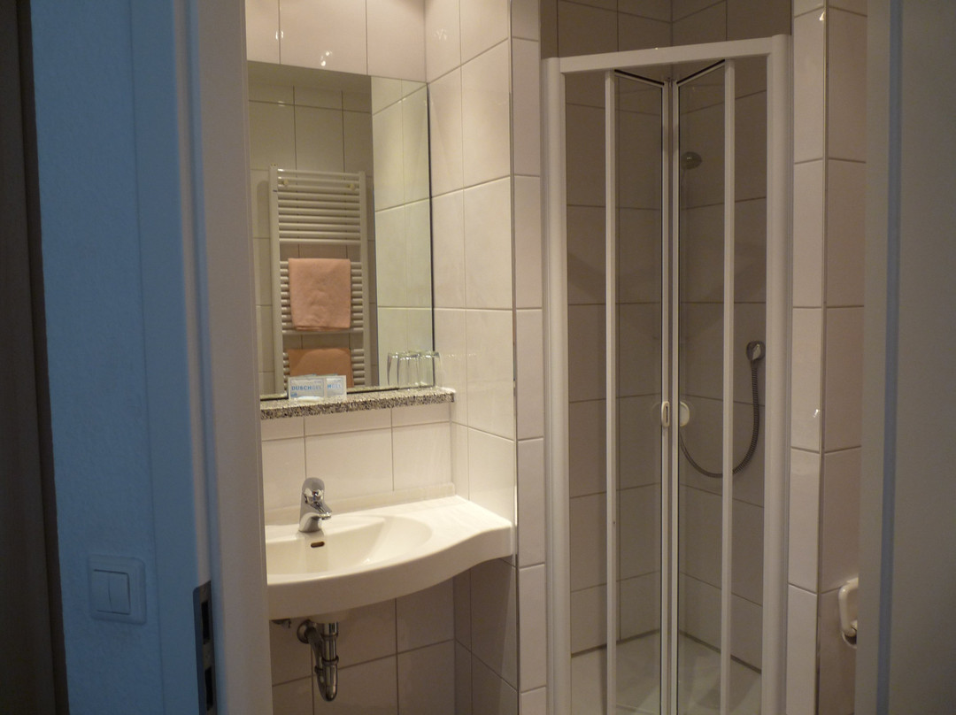 Hotel-Gasthof zum Ritter主图