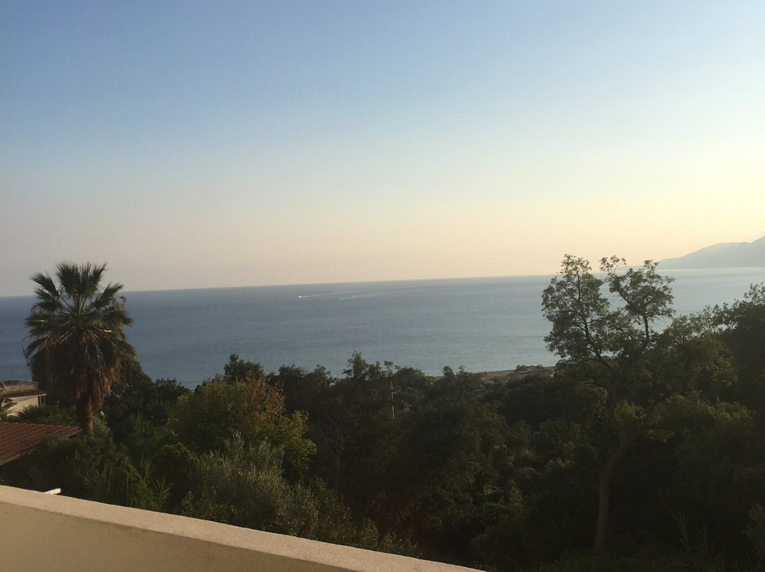 La Bouganville主图