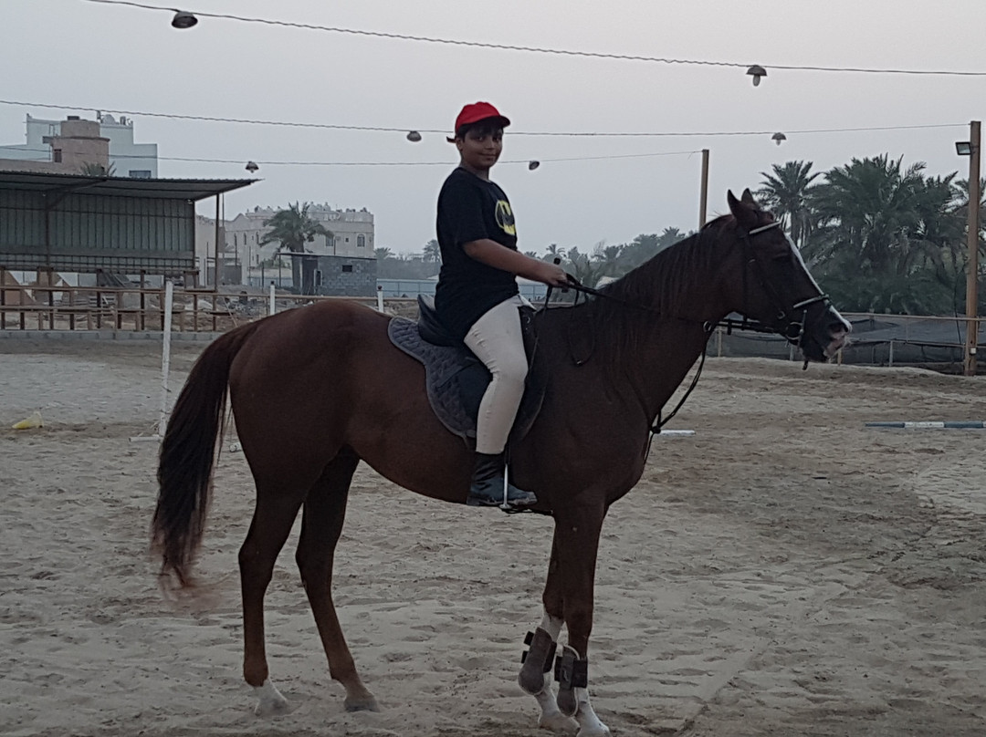 Ghazwan Equestrian Centre-麦纳麦必去景点
