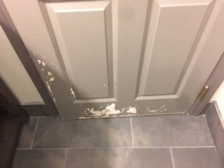 新布朗费尔斯酒店住宿-Holiday Inn Express & Suites New Braunfels By IHG