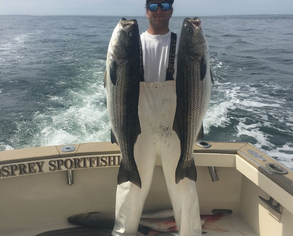 Osprey Sportfishing-格罗顿必去景点