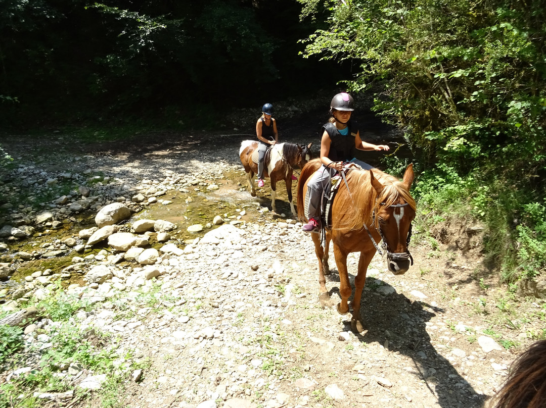 TRAC Terápies I Rutes Amb Cavall景点图片