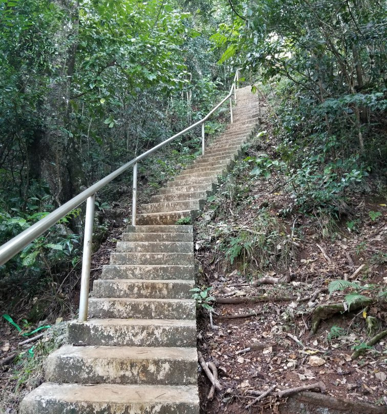 Mt Talau-Neiafu必去景点