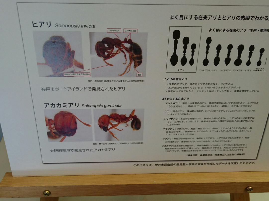 Kishiwada Nature Musium-岸和田市必去景点