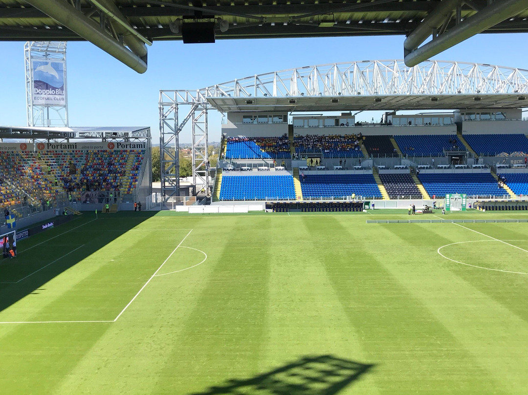 Stadio Benito Stirpe-弗罗西诺内必去景点