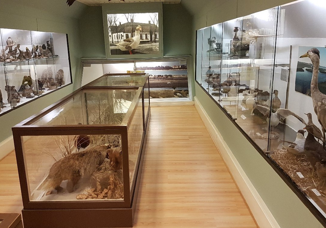Falsterbo Museum