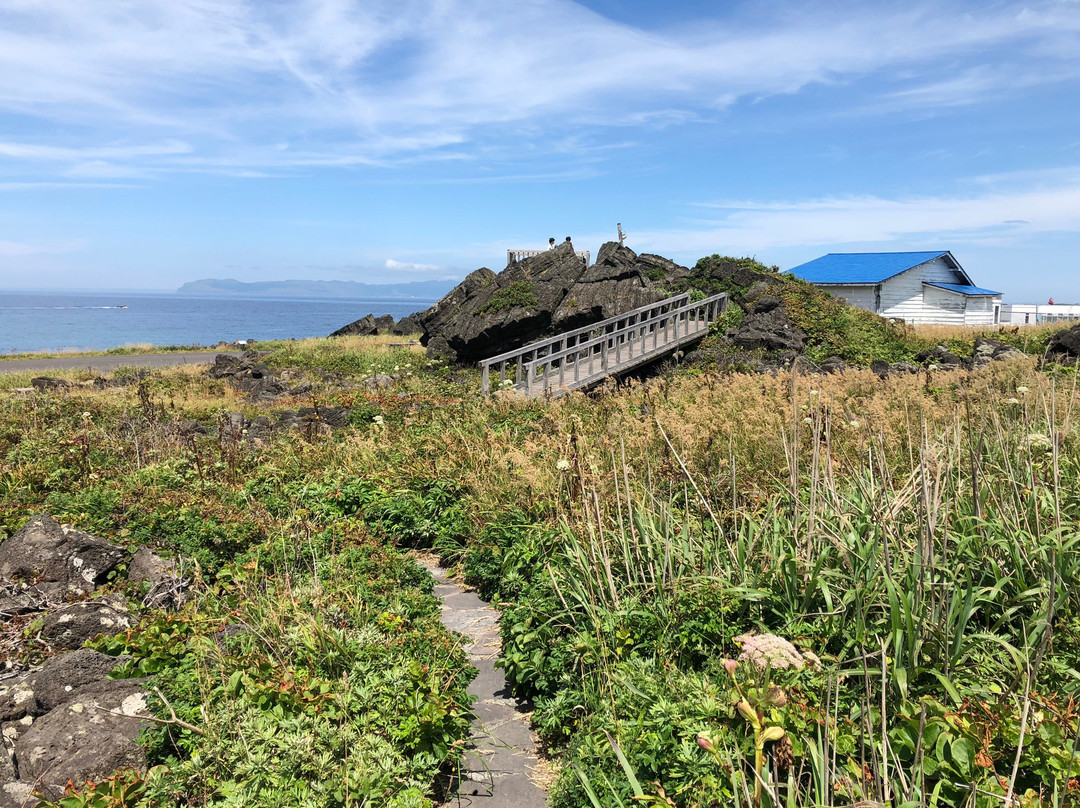 Cape Kutsugata Park景点图片