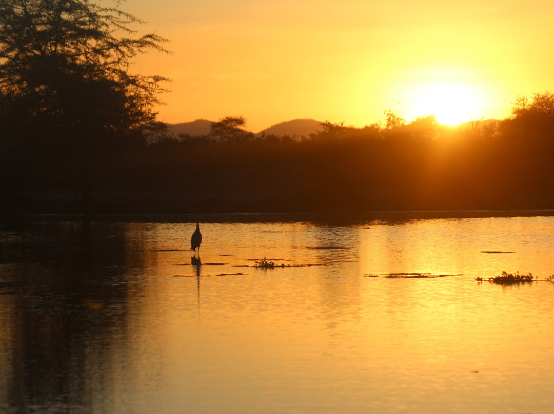 Voyager Ziwani Camp主图