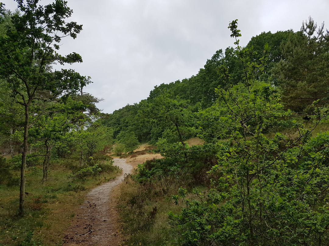 Hagestads naturreservat景点图片