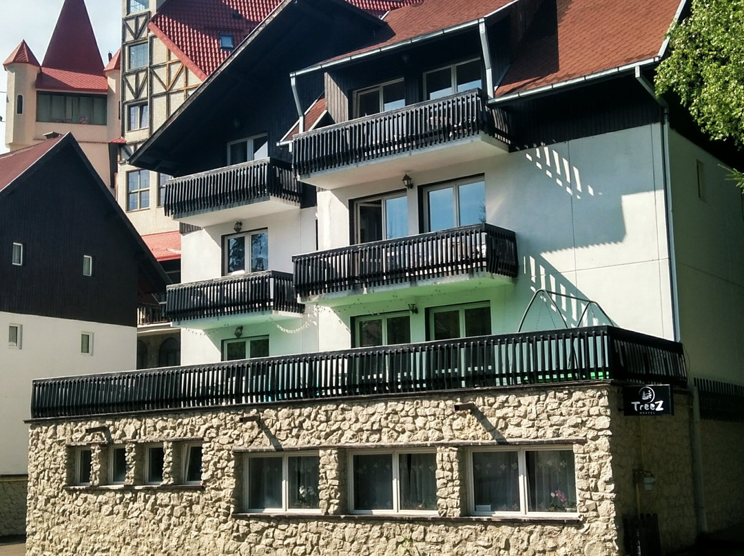 TreeZ Hostel