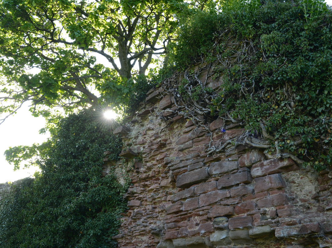 Lindores Abbey Ruins-Newburgh必去景点