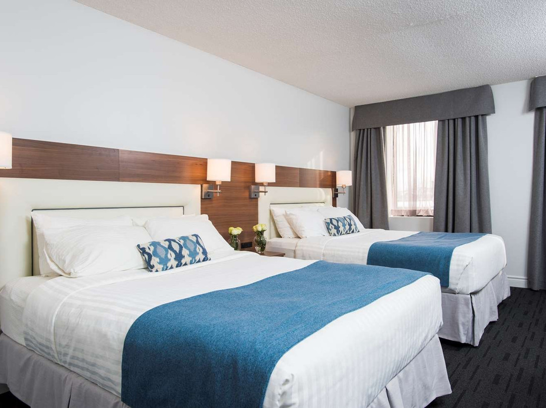 Hotel Albert par G5主图