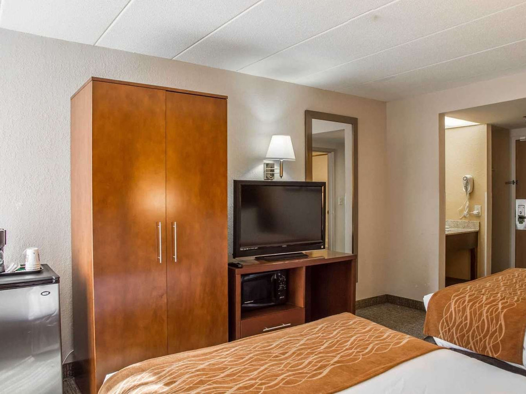 Comfort Inn Northeast主图