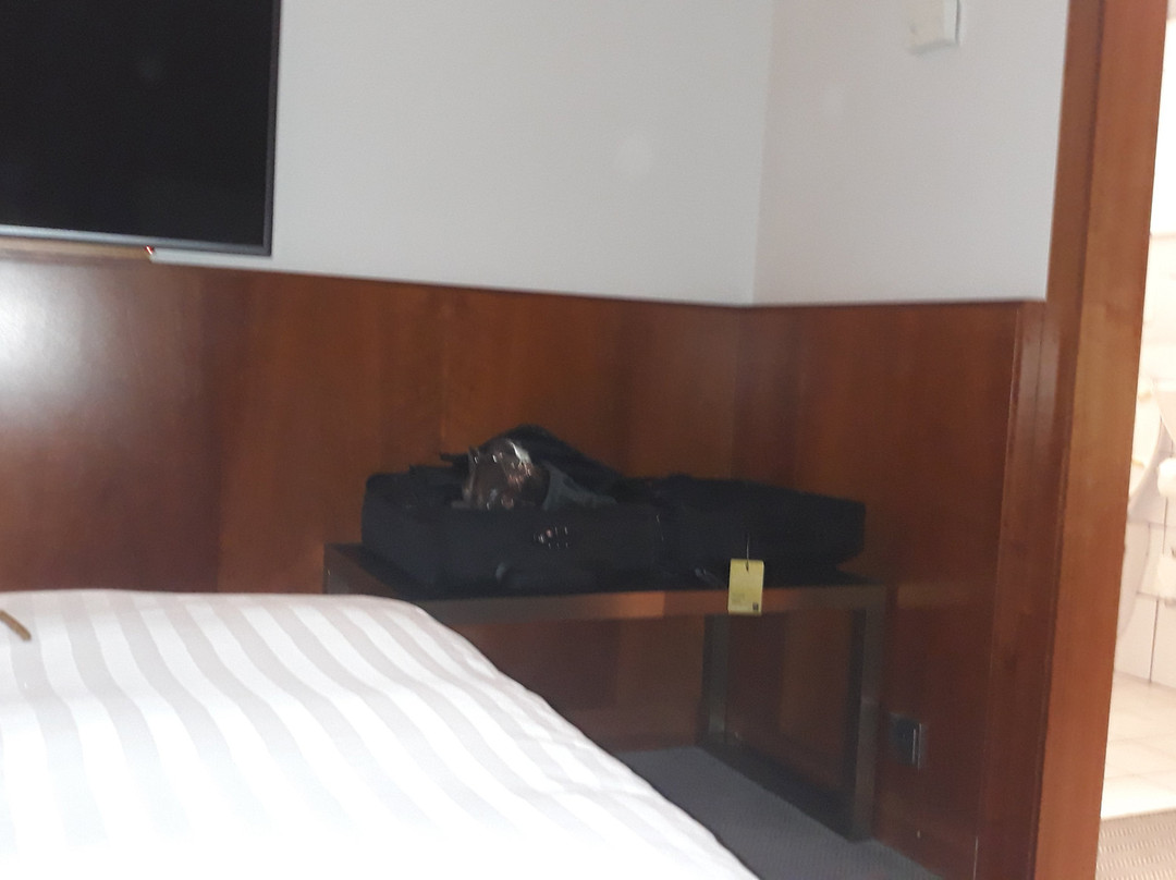 Hotel Finix